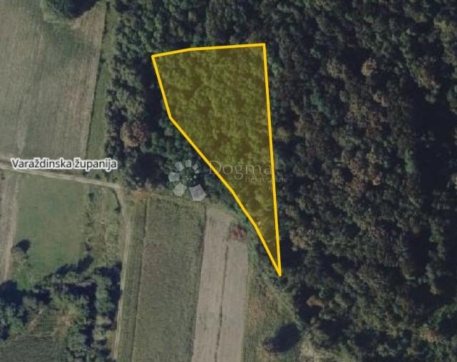 Šumski mir na 6325 m²