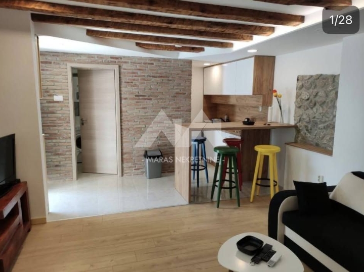 Rijeka, Centar, 1S+DB za najam