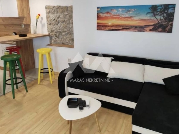 Rijeka, Centar, 1S+DB za najam