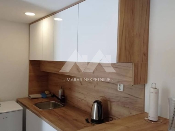 Rijeka, Centar, 1S+DB za najam