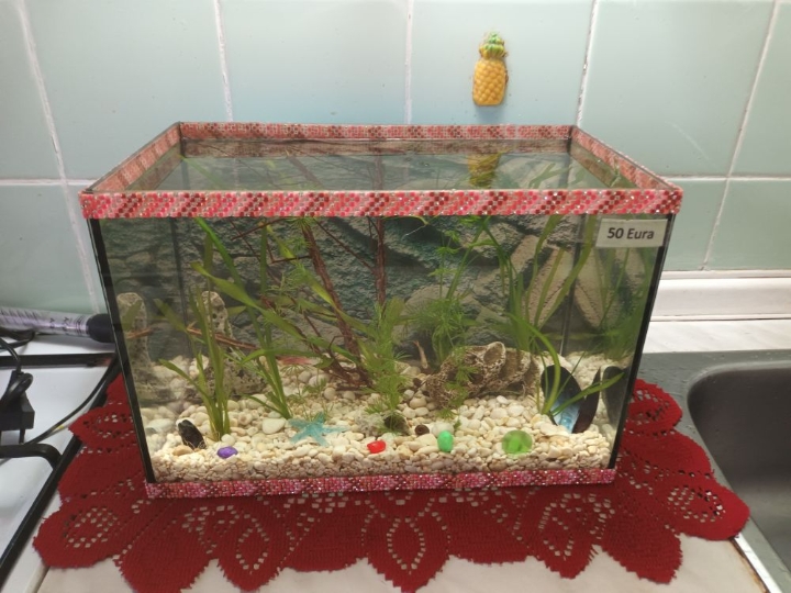 Akvarij lijepo uređen