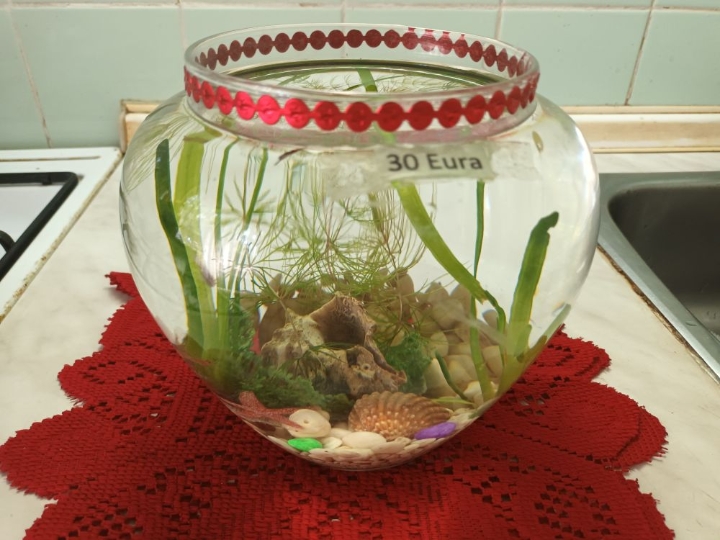 Akvarij lijepo uređen