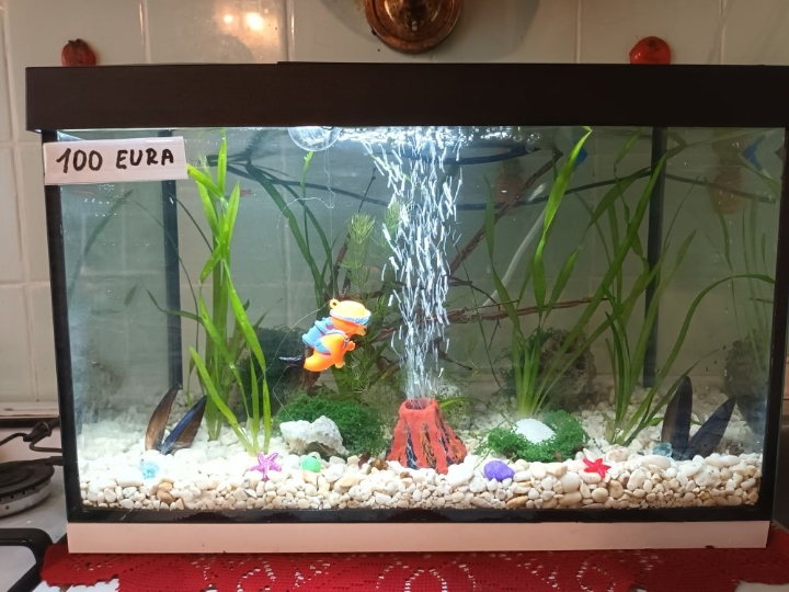 Akvarij sa poklopcem, led svijetlom