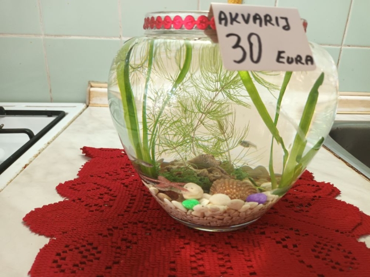 Akvarij sa poklopcem, led svijetlom