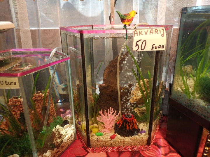 Akvarij sa poklopcem, led svijetlom