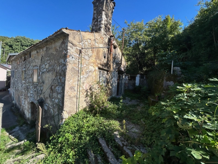 Starina u gradskoj zoni