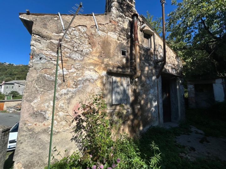 Starina u gradskoj zoni