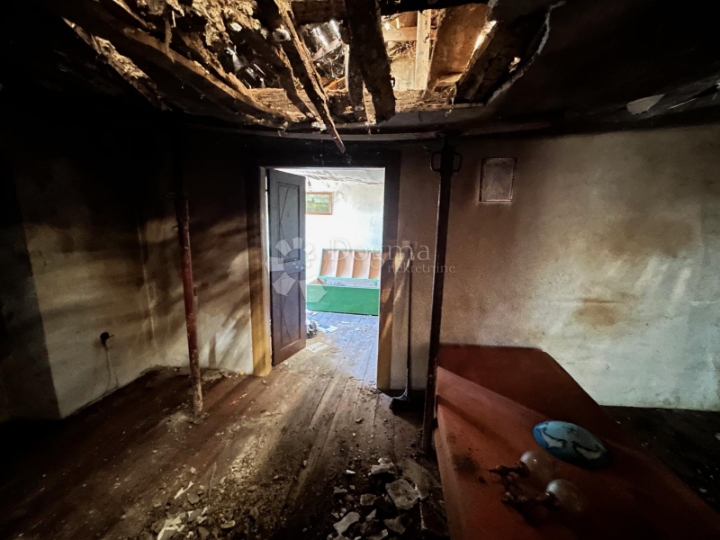 Starina u gradskoj zoni