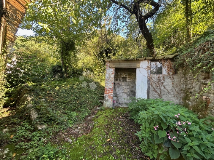 Starina u gradskoj zoni