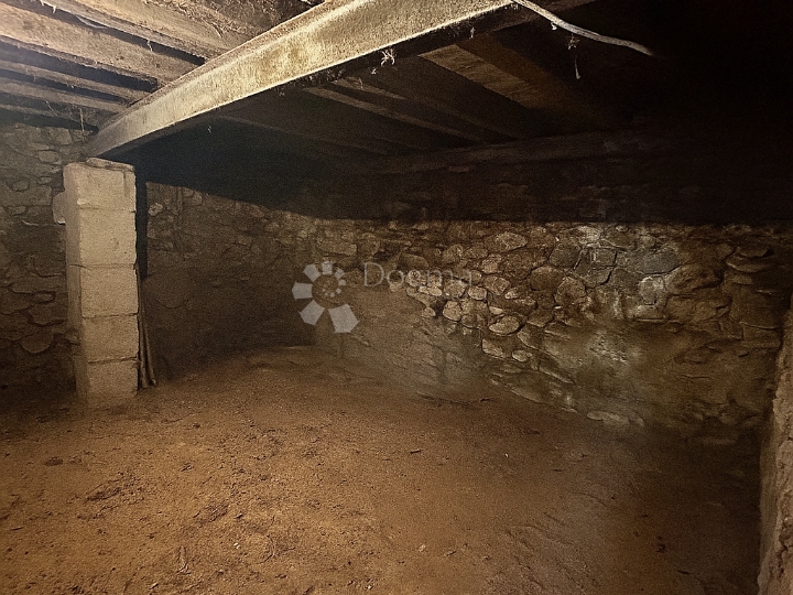 Starina u gradskoj zoni