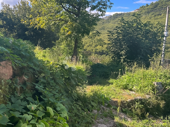 Starina u gradskoj zoni