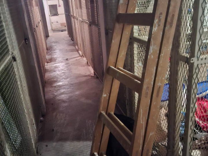 Ljestve za pituranje