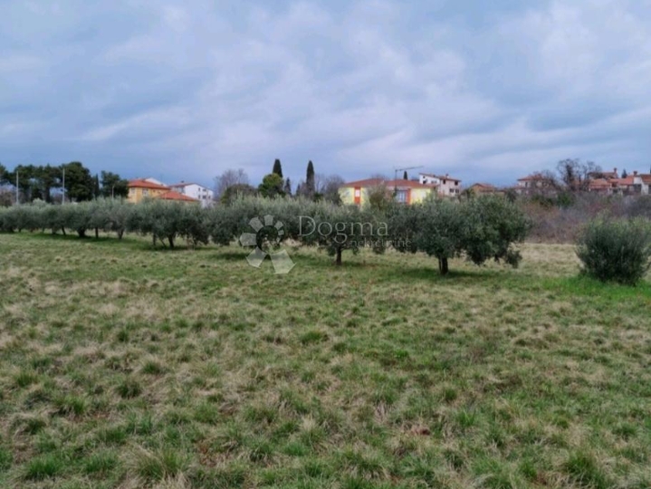 Građevinsko zemljište blizu mora-Umag