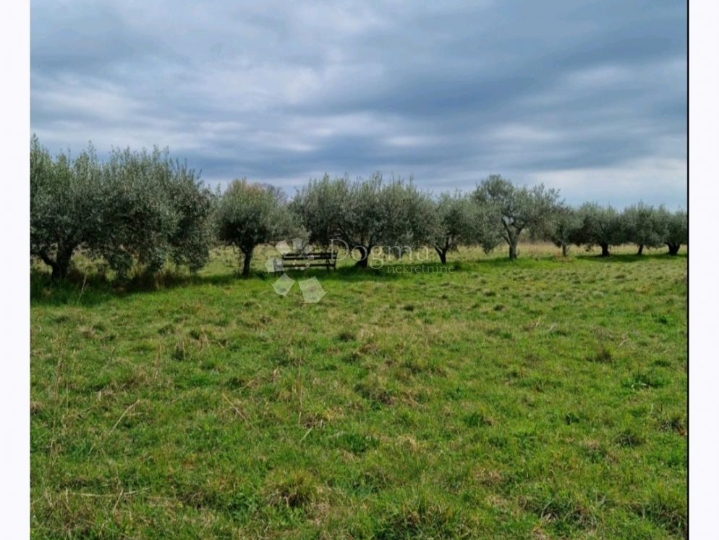 Građevinsko zemljište blizu mora-Umag