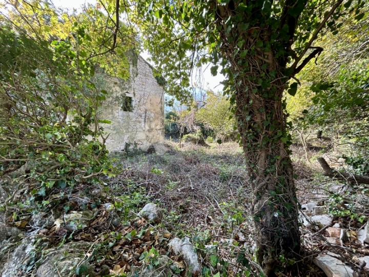 Prilika! Kuća za adaptaciju sa 1100m2 zemljišta