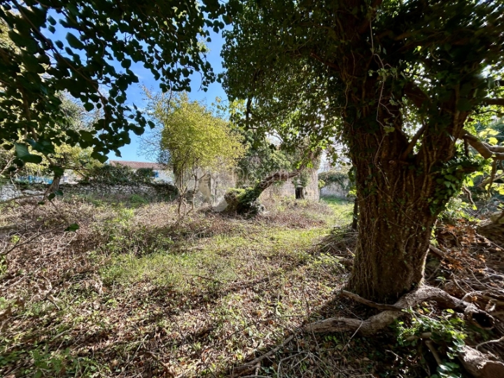 Prilika! Kuća za adaptaciju sa 1100m2 zemljišta