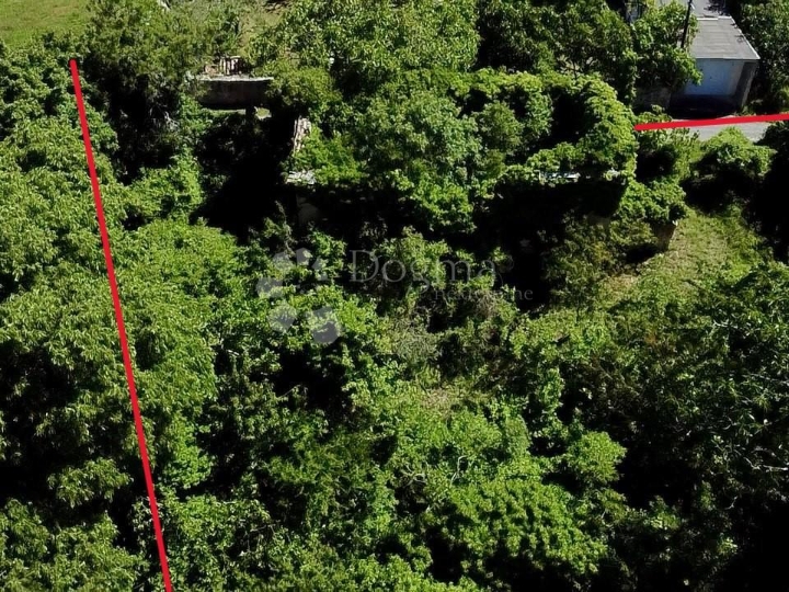 Prilika! Kuća za adaptaciju sa 1100m2 zemljišta