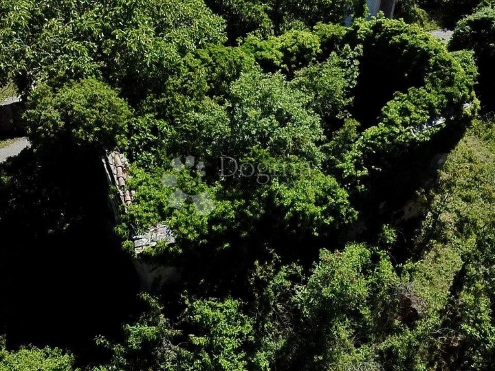 Prilika! Kuća za adaptaciju sa 1100m2 zemljišta