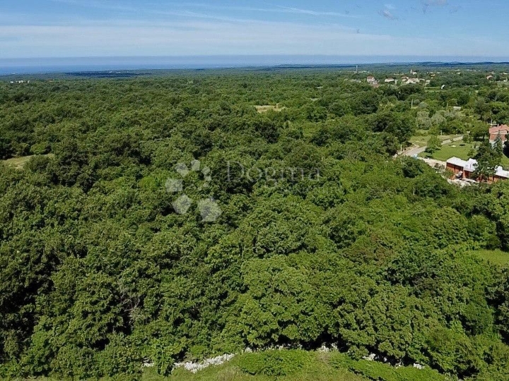 Prilika! Kuća za adaptaciju sa 1100m2 zemljišta