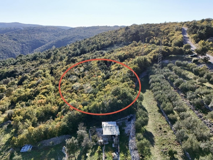 Rabac, poljop. zemljište s pogledom na more