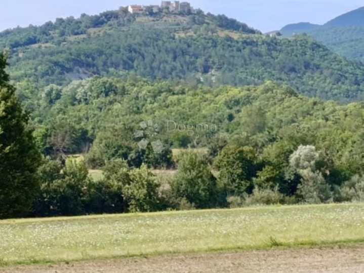 Prilika! Samostojeća kuća u prekrasnom Boljunu
