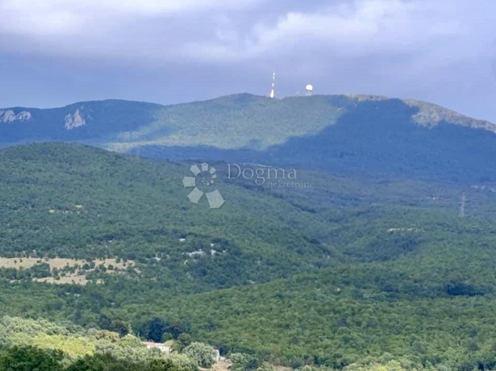 Prilika! Samostojeća kuća u prekrasnom Boljunu