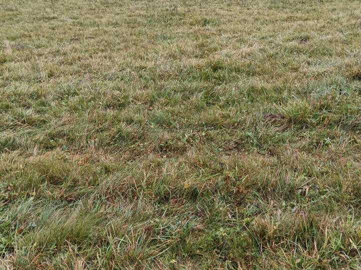 Poljoprivredno zemljište