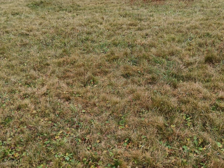 Poljoprivredno zemljište