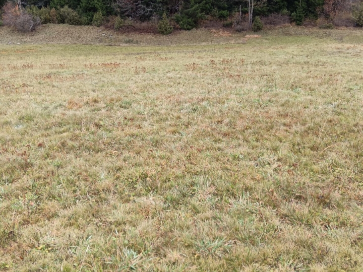 Poljoprivredno zemljište