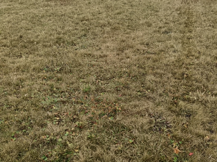 Poljoprivredno zemljište