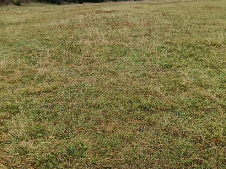 Poljoprivredno zemljište