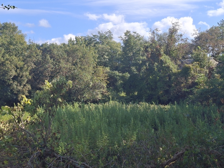 Rijeka-Čavle građevinsko zemljište 1400m2