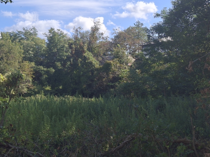 Rijeka-Čavle građevinsko zemljište 1400m2