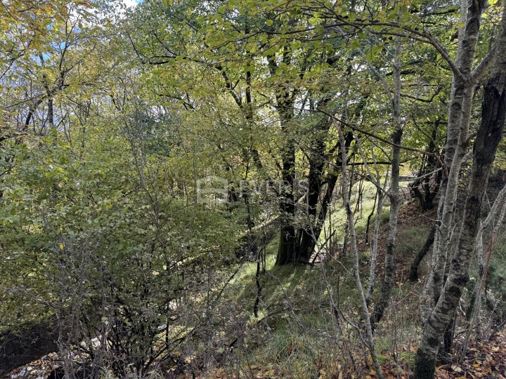 Klana, Škalnica, građevinsko zemljište 3,549 m2