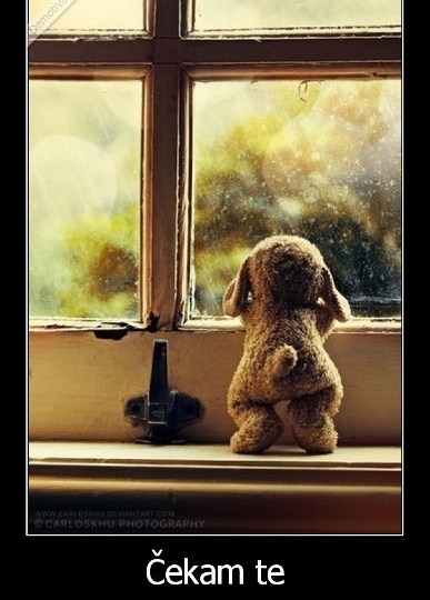 Jednu finu ženu tražim!!