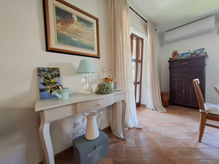 Višnjan - kamena vila s prostranom okućnicom