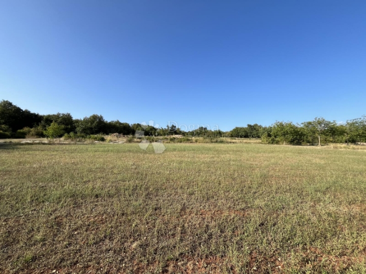 Sv. Lovreč, prostrano zemljište pravilnog oblika