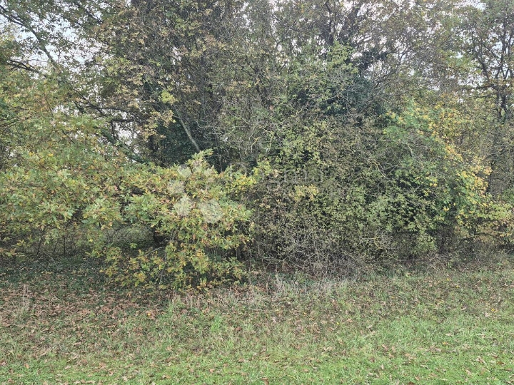 Poljoprivredno zemljište nedaleko mjesta Pusti 8.182 m2