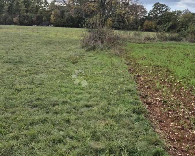 Poljoprivredno zemljište nedaleko mjesta Pusti 8.182 m2