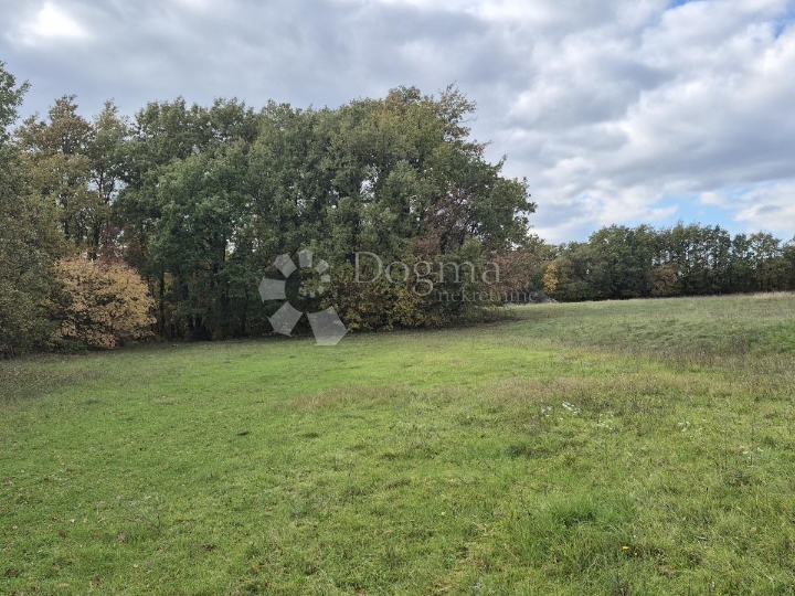 Poljoprivredno zemljište nedaleko mjesta Pusti 8.182 m2