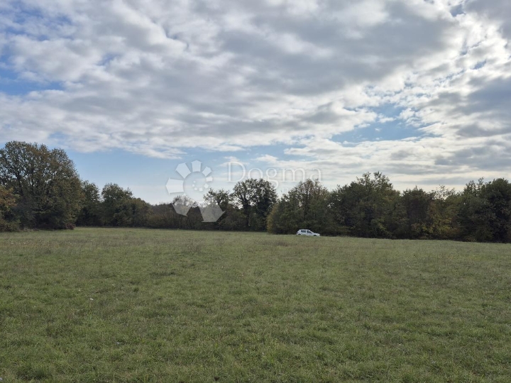 Poljoprivredno zemljište nedaleko mjesta Pusti 8.182 m2