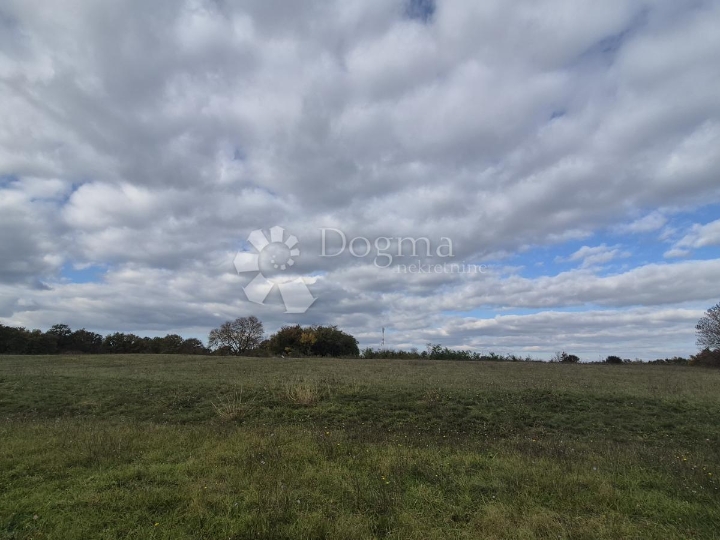 Poljoprivredno zemljište nedaleko mjesta Pusti 8.182 m2