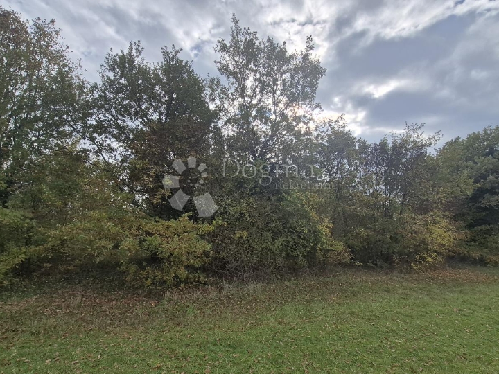 Poljoprivredno zemljište nedaleko mjesta Pusti 8.182 m2