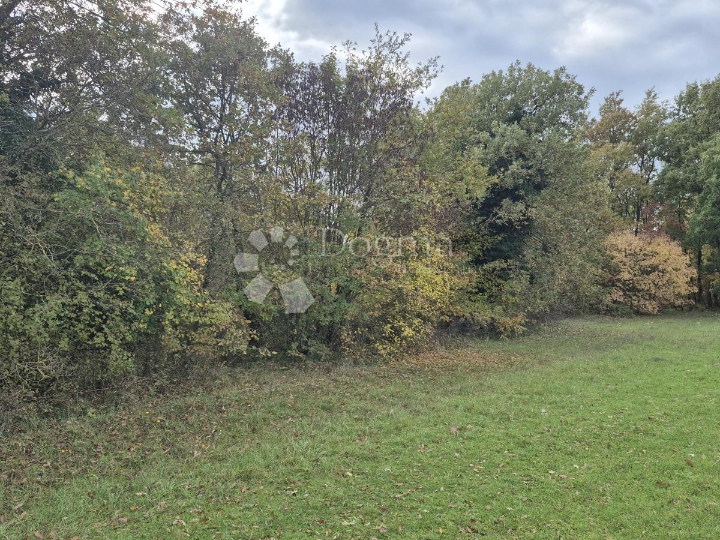 Poljoprivredno zemljište nedaleko mjesta Pusti 8.182 m2