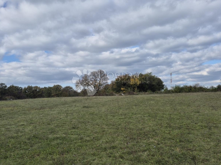 Poljoprivredno zemljište nedaleko mjesta Pusti 8.182 m2