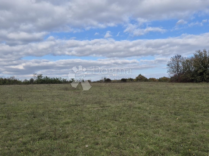 Poljoprivredno zemljište nedaleko mjesta Pusti 8.182 m2