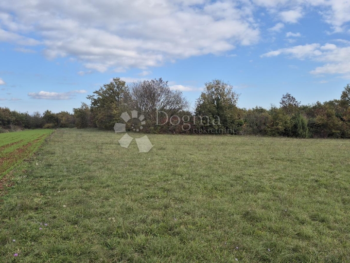 Poljoprivredno zemljište nedaleko mjesta Pusti 8.182 m2