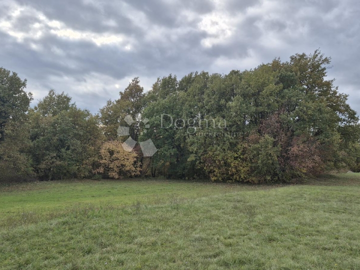 Poljoprivredno zemljište nedaleko mjesta Pusti 8.182 m2