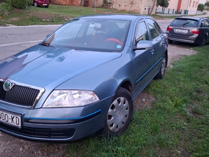 Škoda Octavia 1.9TDI, 2007. god.