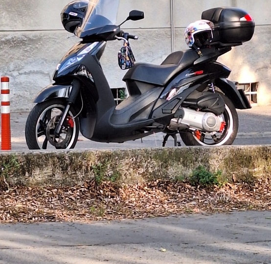 Peugeot Geopolis 250RS